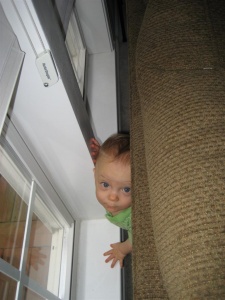 Bet you can't find me!