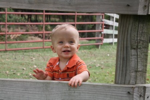 Will 1 year