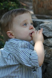 Noah 1 year (2nd attempt)