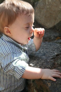 Noah