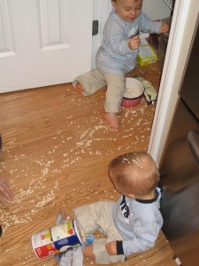 Oatmeal Fight...