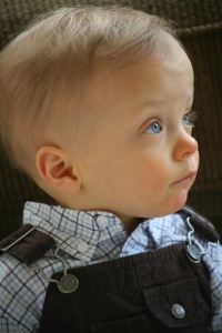 Will