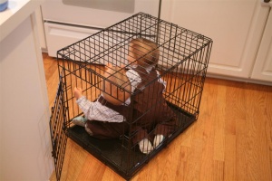 Don't call social services...