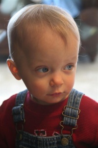 Will
