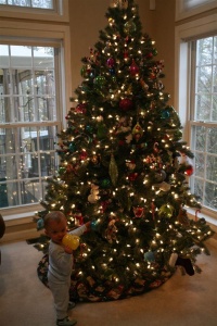 Oh Christmas Tree...
