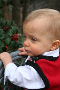 Christmas pictures