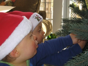Oh Christmas Tree...