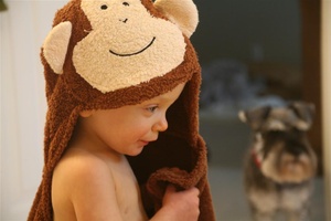 One of our monkeys