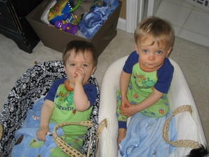 Moses Baskets