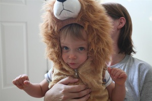 Rooooaaaarrrr!!