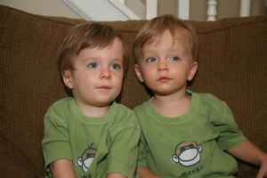 2 little monkeys...