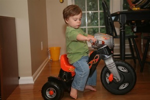 My 1st Harley