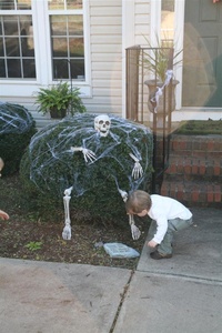 Halloween 9