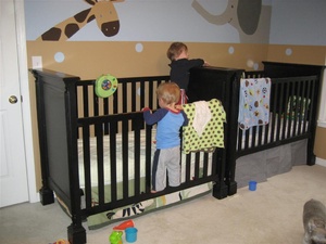 Little monkeys 2....