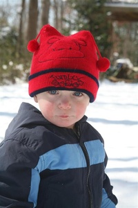 February Snow