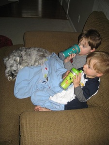 TV Time...