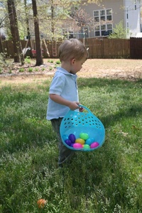Lots of Eggs!