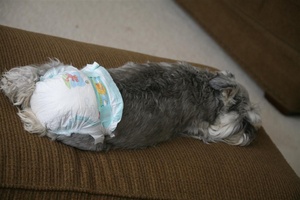 Poor Maggie...