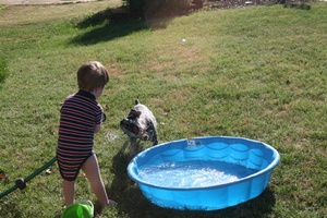 Water fun...