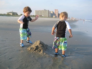 Beach Boys (2)