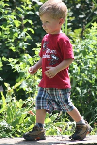 July 2010