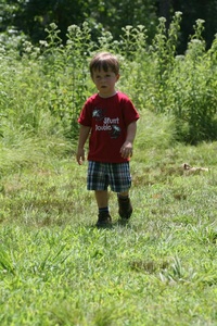 July 2010