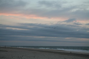 OBX