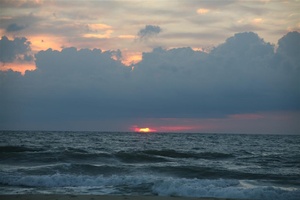 OBX