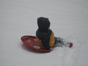 Whee!