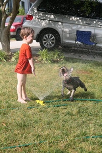 Look at Angus!