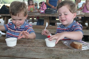 Fresh Ice Cream
