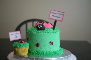 Ladybug Cake