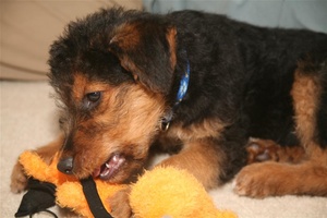 First Pics