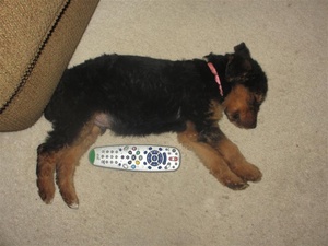 So tiny....