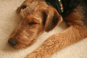 Our New Baby!