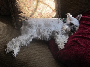 Chillin'